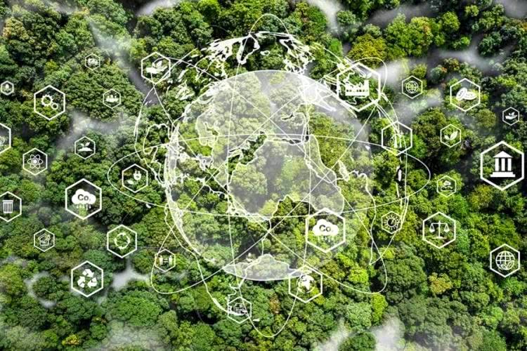 Know the Difference Between CSR and ESG